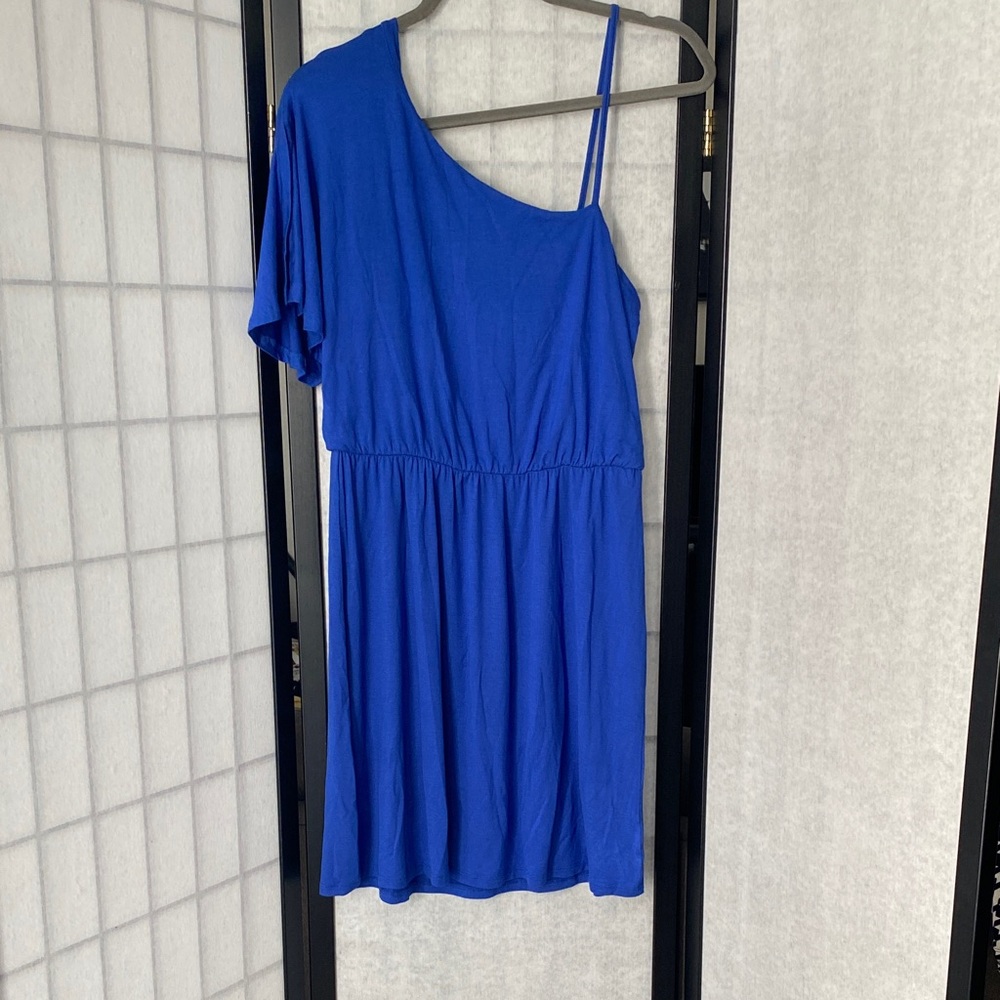 Pink Rose One Shoulder Dress in Blue NWT Size Med